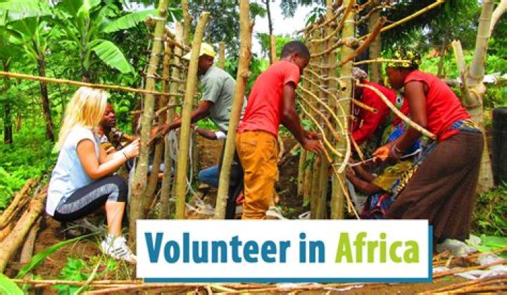 10 Best Africa Volunteer Programs for 2024-2025