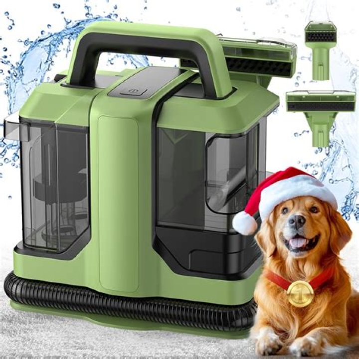 10 Best Carpet Cleaners for Dog Vomit in 2024: Reviews & Top Picks