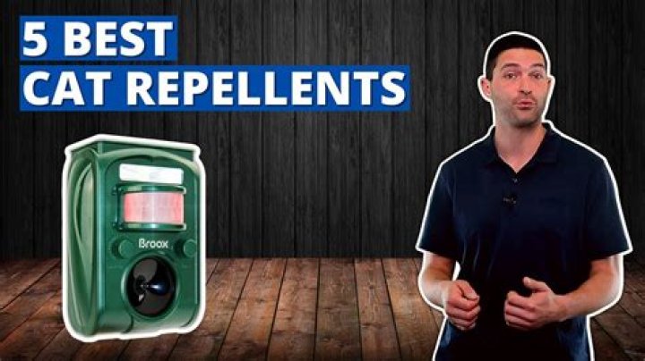 10 Best Cat Repellents and Deterrents in the UK in 2024– Reviews & Top Picks