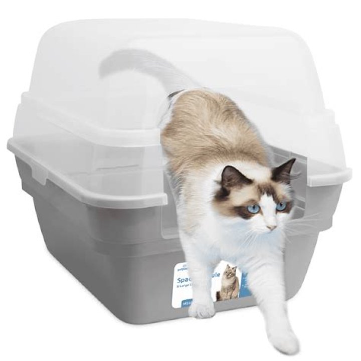 10 Best Covered (Hooded) Cat Litter Boxes in 2024 - Reviews & Top Picks