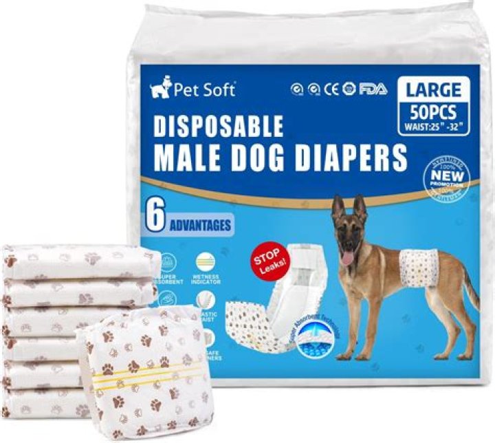 10 Best Dog Diapers in 2024 - Reviews & Top Picks