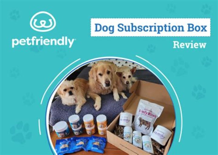 10 Best Dog Subscription Box Services in 2024 - Reviews & Top Picks