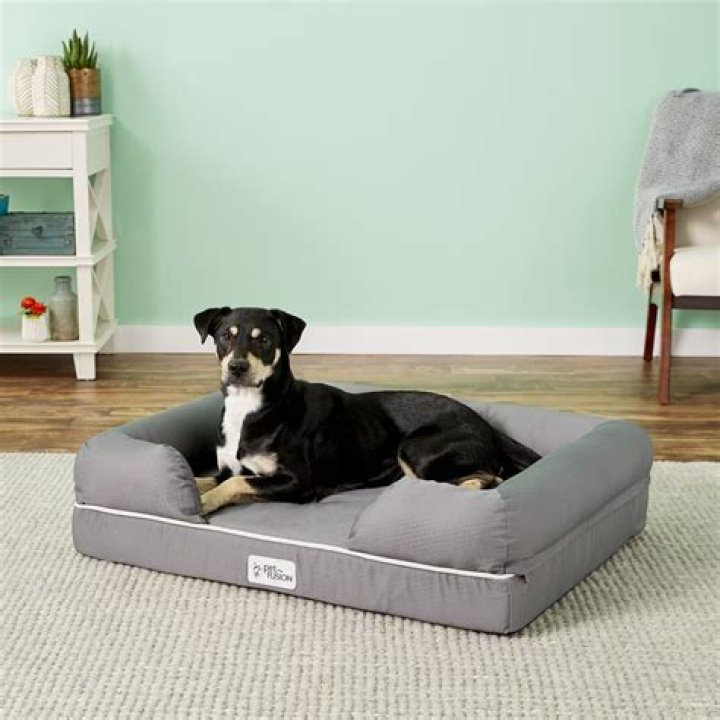 10 Best Memory Foam Dog Beds in 2024 - Reviews & Top Picks