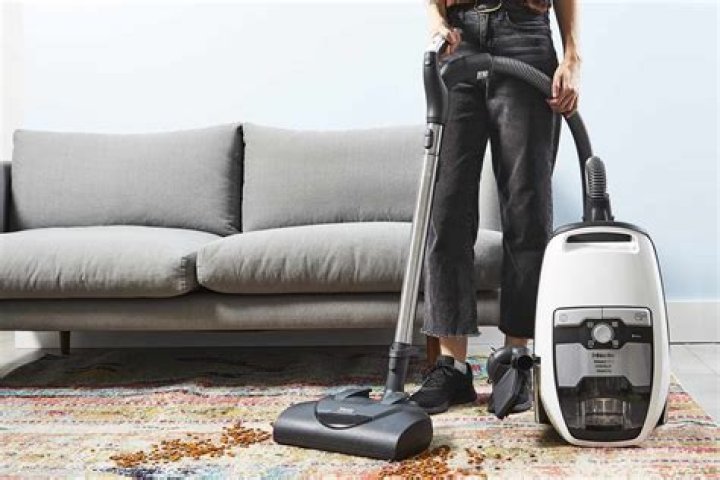 10 Best Vacuums For Dog Hair in 2024 - Reviews & Top Picks