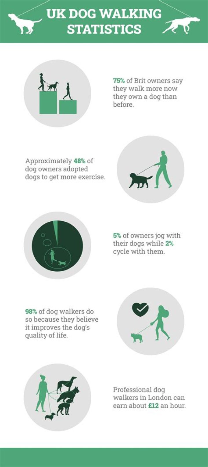 10 UK Dog Walking Statistics & Facts for 2024: How Much People Walk Their Dogs