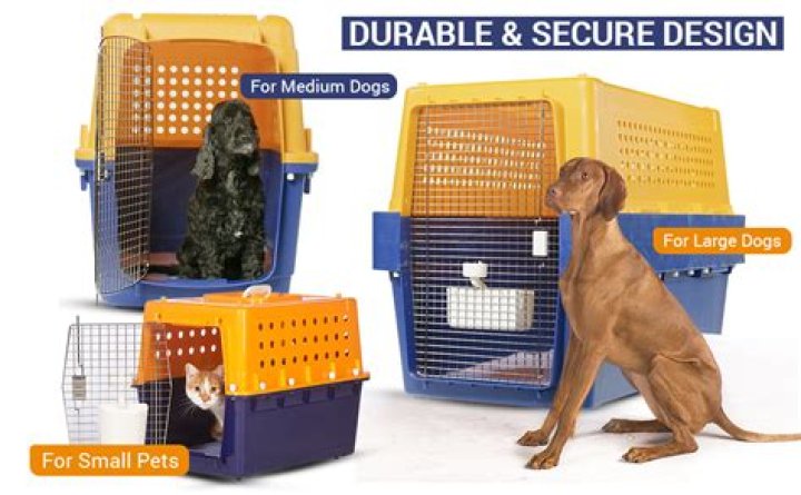 11 Best Dog Crates in 2024 - Reviews & Top Picks!