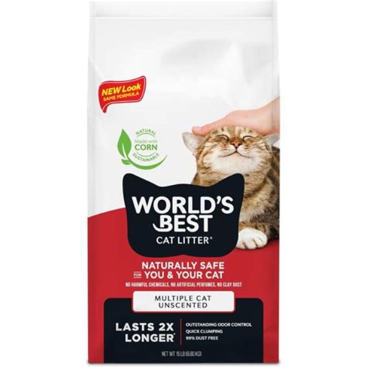 11 Best Non-Clay Cat Litters in 2024 - Reviews & Top Picks