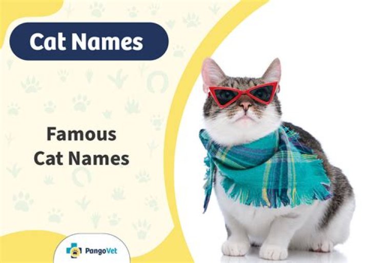 200+ Famous Cat Names: The Most Well-Known Options for Your Cat