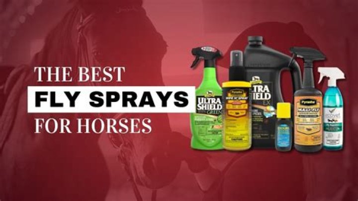 4 DIY Homemade Fly Sprays for Horses (with Pictures)