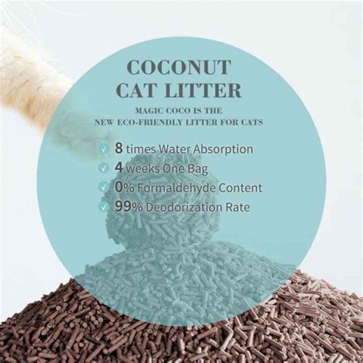 5 Best Coconut Cat Litter in 2024 - Reviews & Top Picks