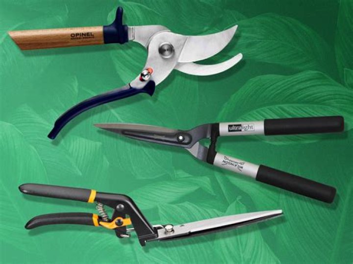 7 Best Garden Shears, According to Pro Gardeners