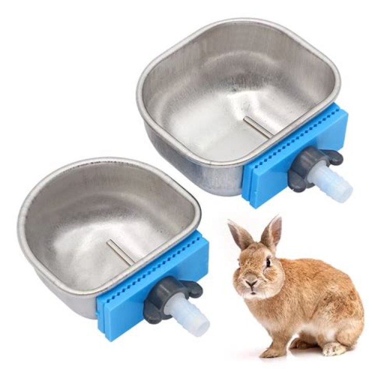 8 Best Rabbit Water Bowls | Buyer's Guide & Reviews 2024