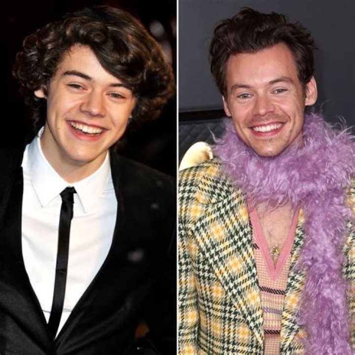 A Glimpse into the Lives of Former One Direction Members: Then and Now