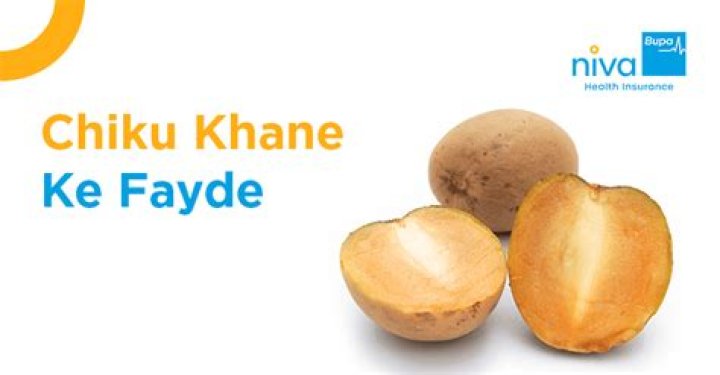 अलसी बीज क्या है और इसे खाने के फायदे (Alsi Beej Kya Hai Aur Ise Khane Ke Fayde)