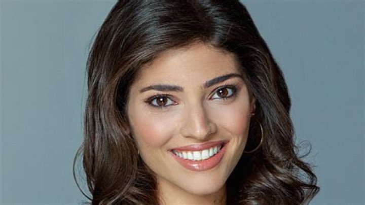 Amanda Setton: American Actress, Movies & TV Shows, Gossip Girl, Age, Husband, Children, Net Worth, Wiki!