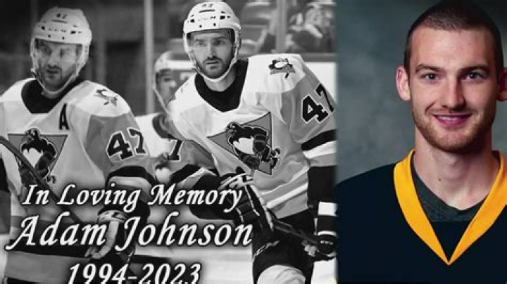 Andrew Johnston Hockey did adam johnson die