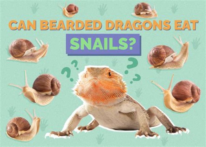Can Bearded Dragons Eat Cantaloupe? Vet-Approved Nutritional Information