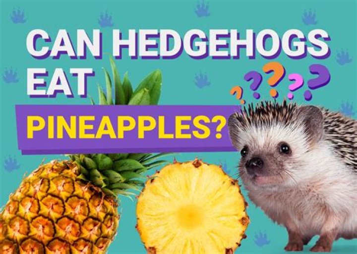 Can Hedgehogs Eat Pineapple? Facts & FAQ