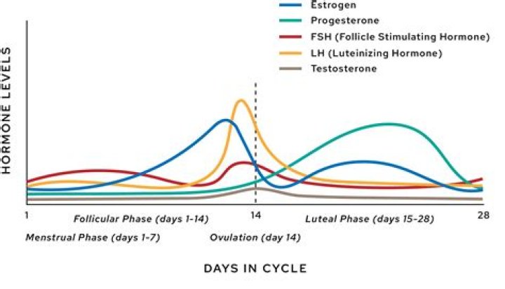 Can Ozempic Cause Changes in Menstrual Cycle? - Everything You Need to Know
