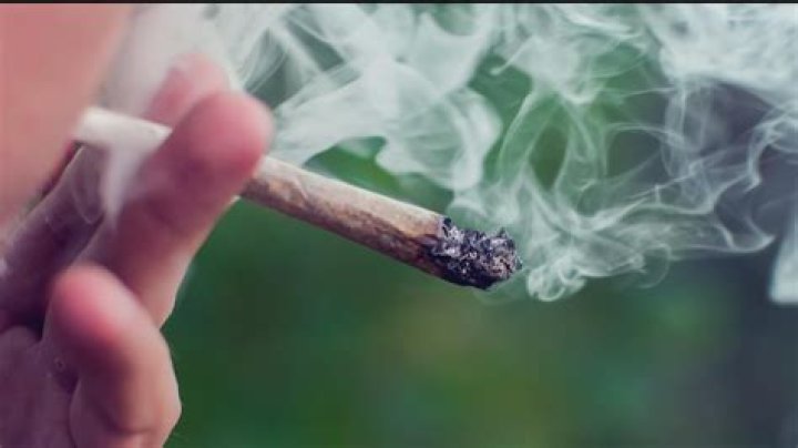 Can You Smoke Weed On Ashwagandha