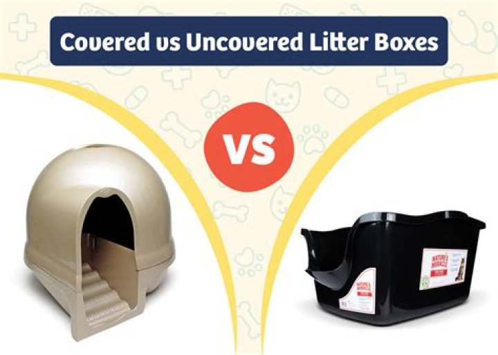 Covered vs Uncovered Litter Boxes: Does My Cat Care?