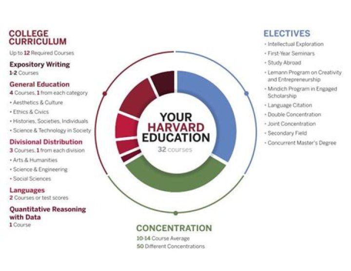 Curriculum and Degree Requirements