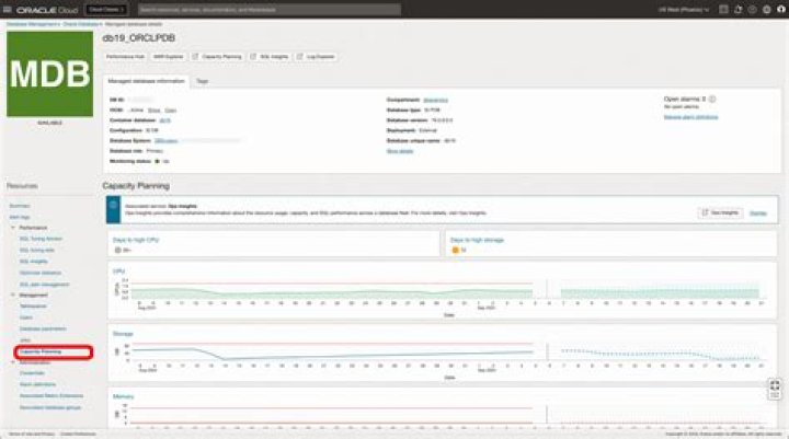 Database capacity planning - Documentation for TrueSight Middleware and Transaction Monitor 8.1