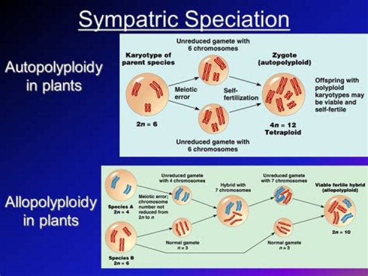 Definitions of autopolyploid - OneLook