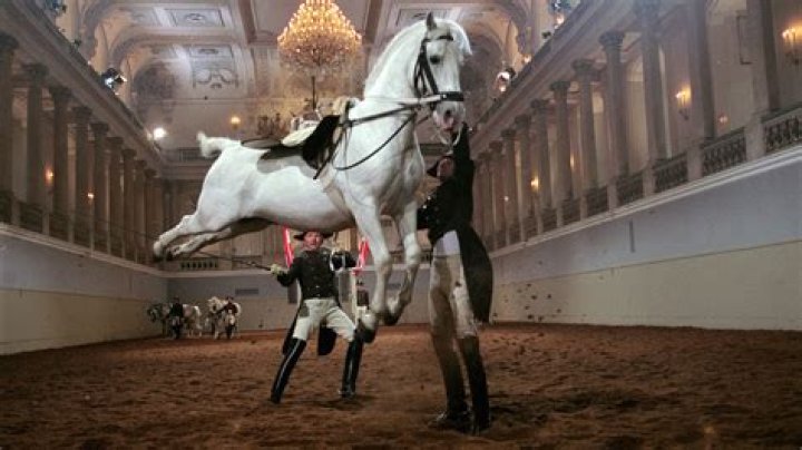 Definitions of colocentesis - OneLook