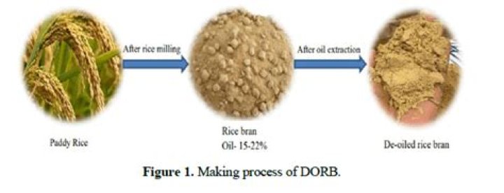 Definitions of dorb - OneLook