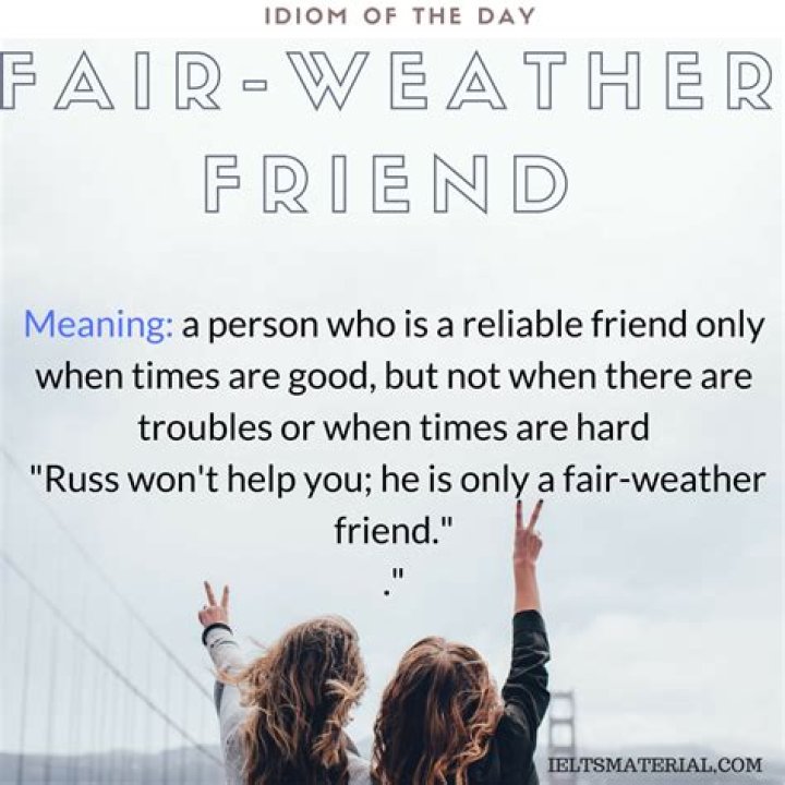 Definitions of fair weather friends