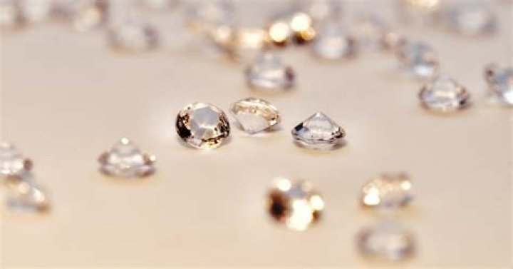 Definitions of gemmary - OneLook