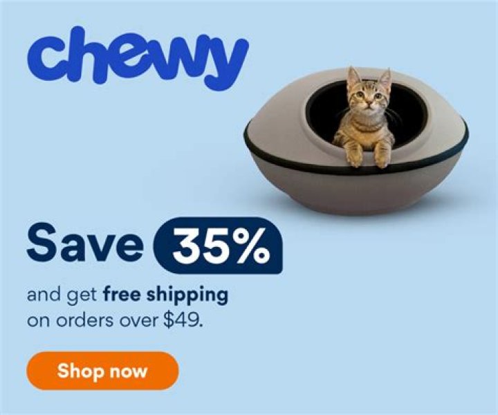 Do Owls Attack and Eat Cats? Vet-Reviewed Safety Information