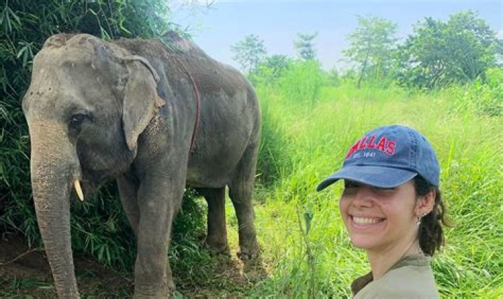 Elephant Volunteer Work & Animal Conservation in India