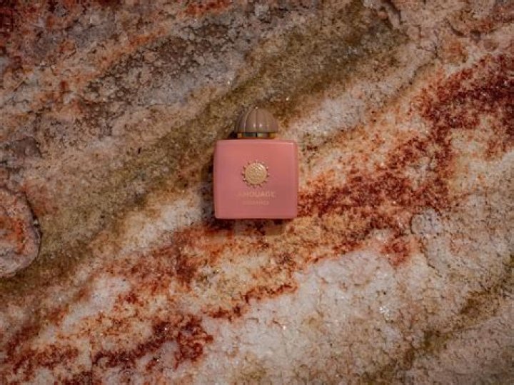 Exploring Bakemonogatari Doujinshi: A Deep Dive Into The World Of Fan Creations