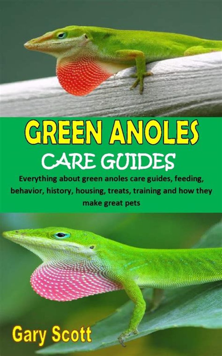 Green Anole: Facts, Info & Care Guide (With Pictures)