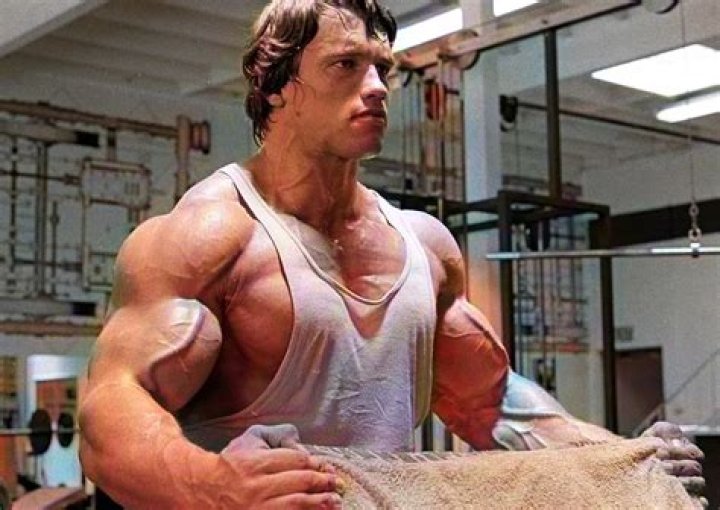 Here's How a Young Arnold Schwarzenegger Dominated the Body Building World