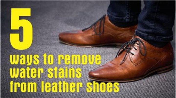 How to Get Cat Urine Smell & Stains Out of Leather Boots: Effective Methods