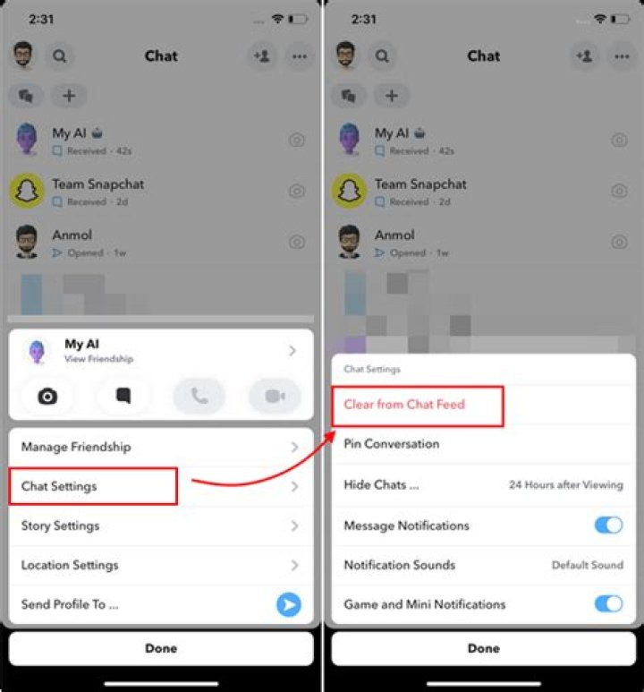 How To Get Rid Of My AI On Snapchat (Android & IOS)?