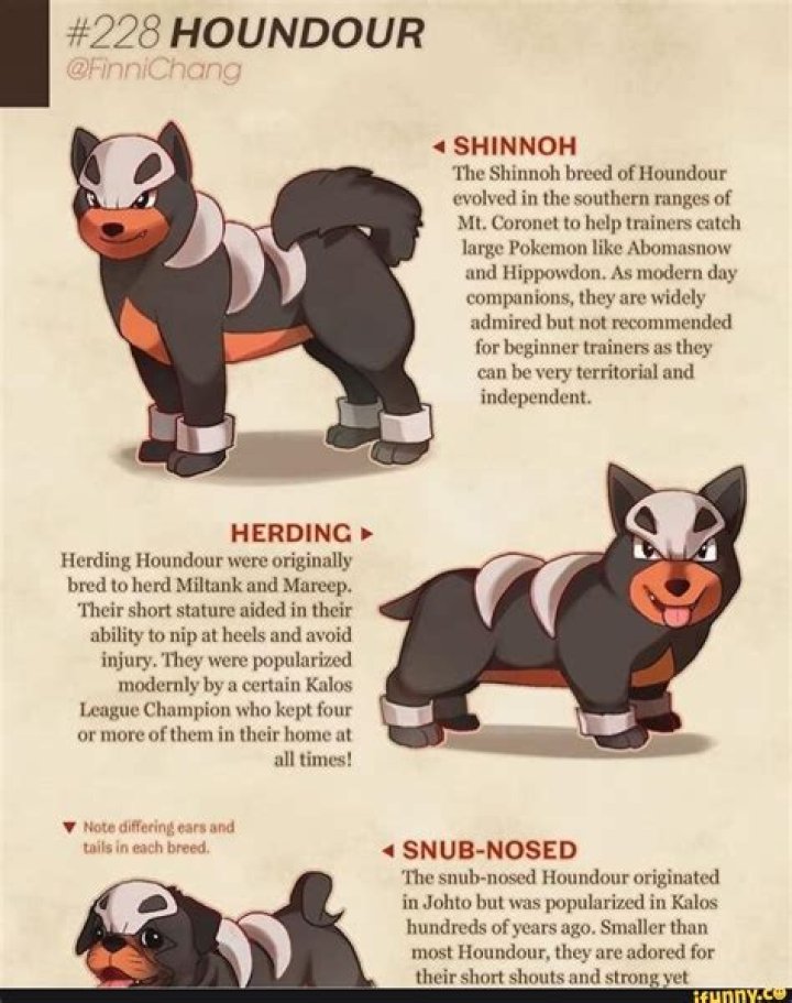 I think Houndour is a cross-breed of Poochyena and Growlithe