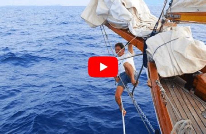 Italy - Liveaboard Dolphin Research Expedition