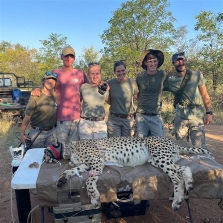 Mac Stevenson | Selati Game Reserve Alumni Interview