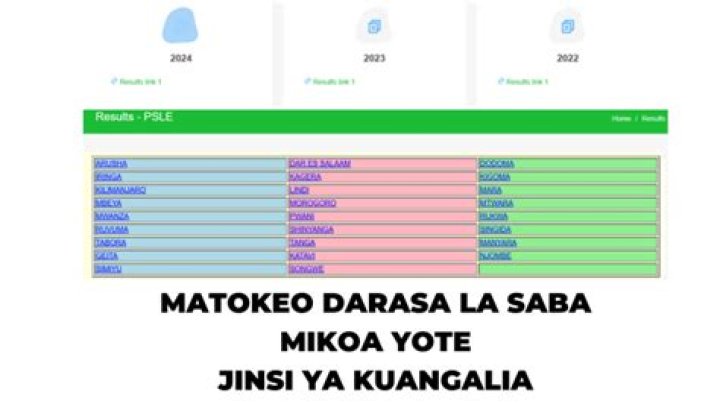Matokeo Ya Darasa la Saba 2023/24 – NECTA Mikoa Yote (updated) – All Global Updates
