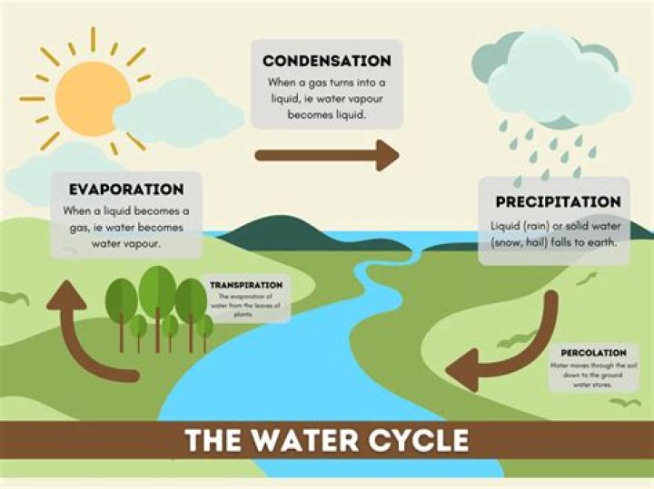 Photos of Allan Manings on myCast