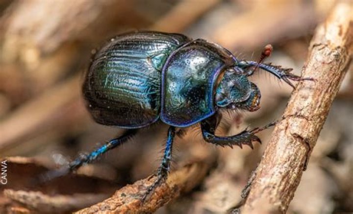 Qué significa soñar con tu ex según los psicólogos y expertos en sexo