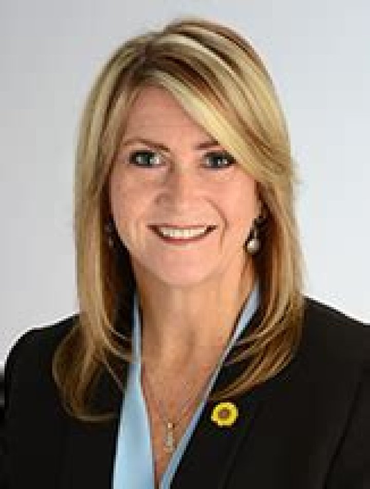 Rosann McLean, DHSc, RHIA, CDIP