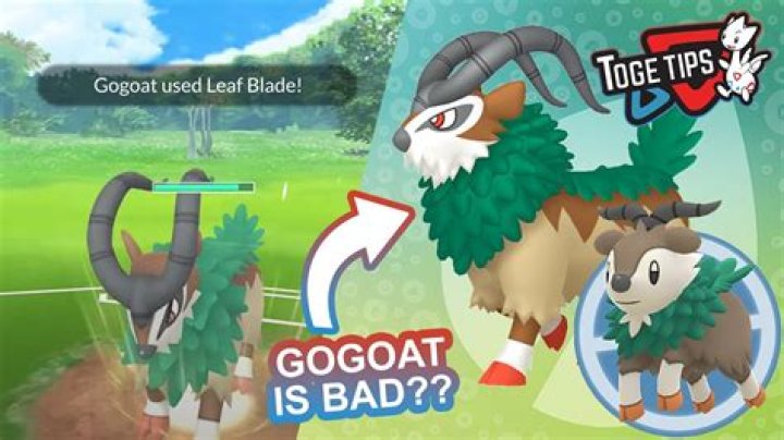 S16 EP41: Go, Go Gogoat!