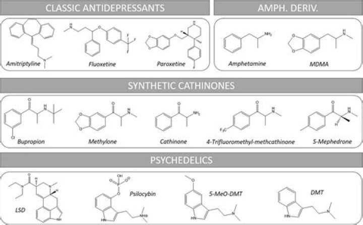 The Effects and Risks of Combining Adderall and MDMA