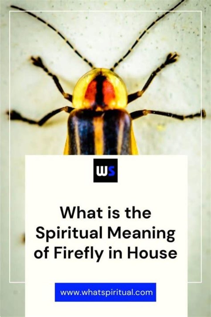 The Symbolic and Spiritual Meaning of a Firefly