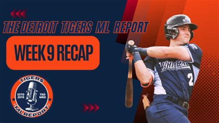 Tigers' Jace Jung Follows Older Brother Josh's Path While Also Carving His Own — College Baseball, MLB Draft, Prospects